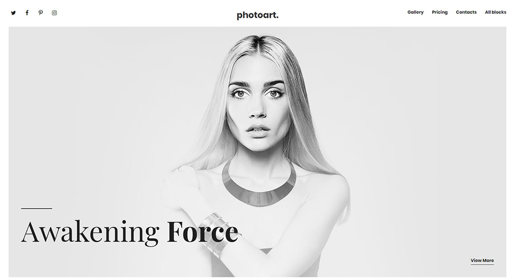 قالب موقع أحادي