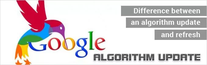 Differenza tra aggiornamento e refresh dell'algoritmo! an hummingbird Difference between an algorithm update and refresh