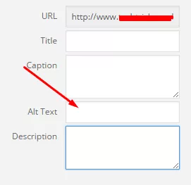 La guida completa al blog SEO! Blog SEOimg7 The Complete Guide to Blog SEO!