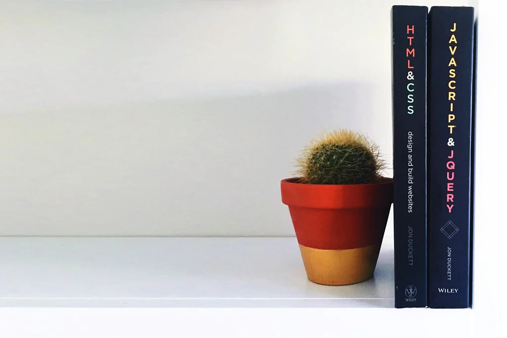 2 libri sorretti da un cactus