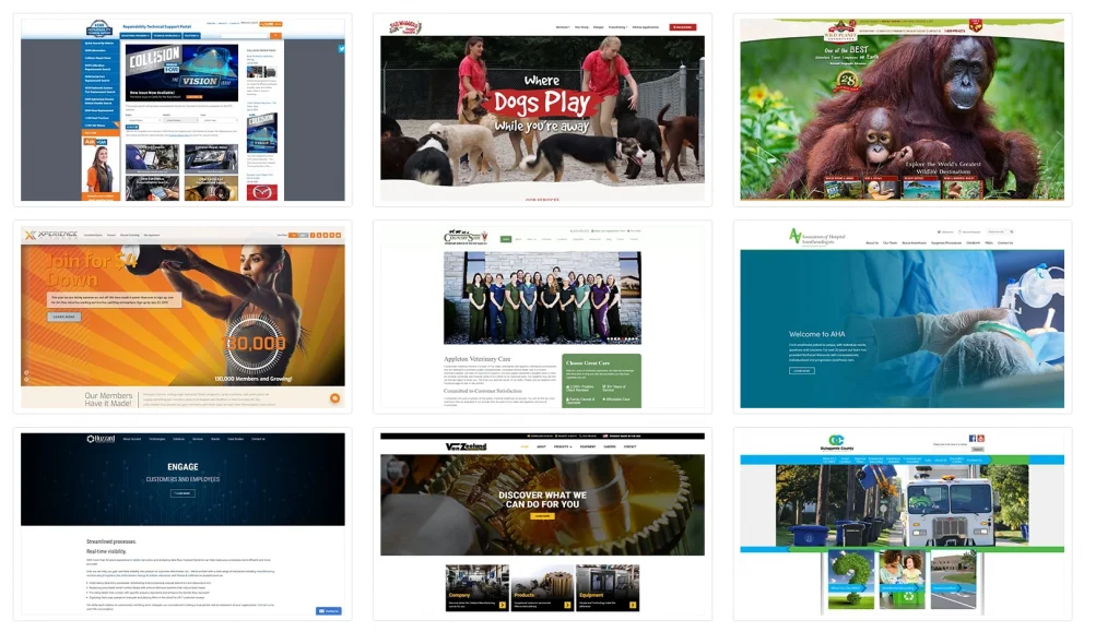 WebCitz 網站設計組合