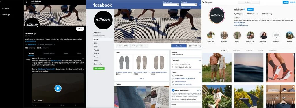 Изображение всех птиц на разделенном экране Twitter Facebook и Instagram