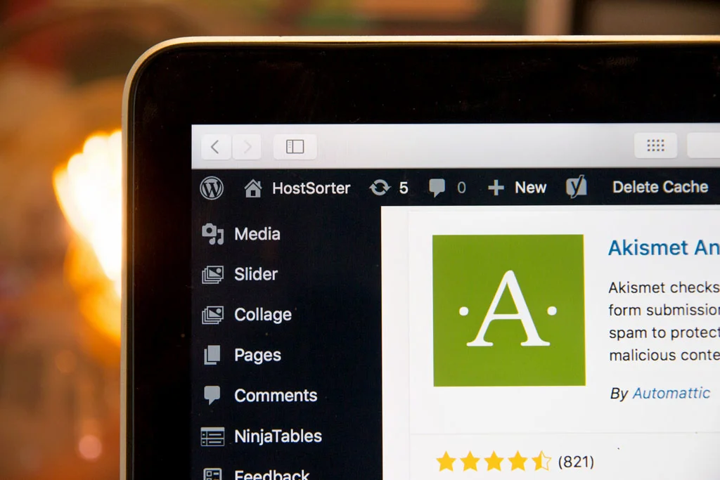 Wordpress şablon ekranı