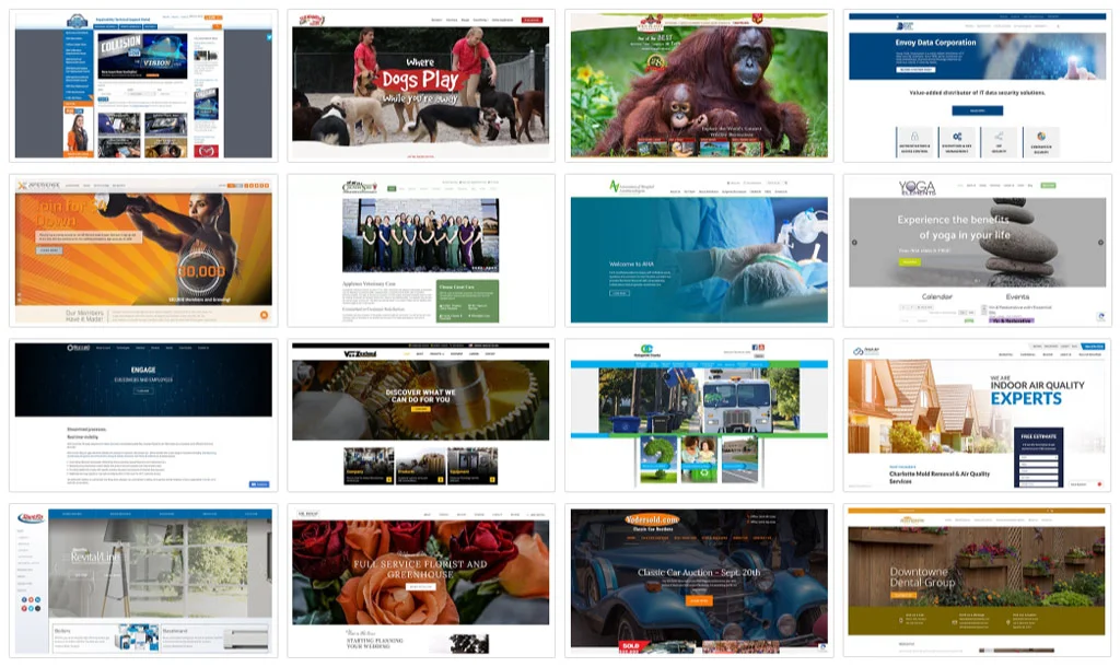 Pagina portofoliului WebCitz