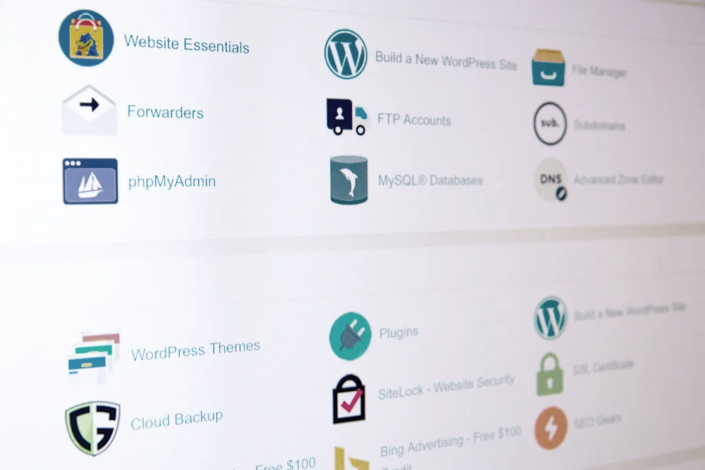 Schermata dashboard del server