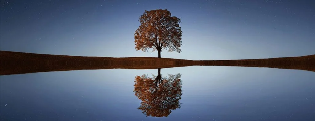 คุณภาพดี ภาพสวย