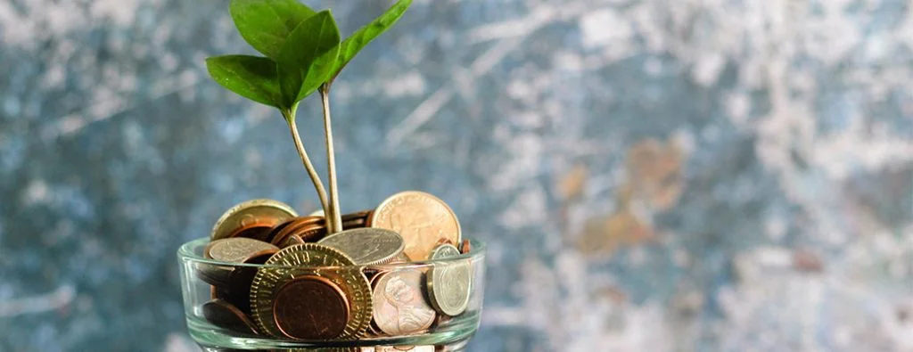 une plante qui pousse dans un vase rempli de pièces de monnaie et d'argent