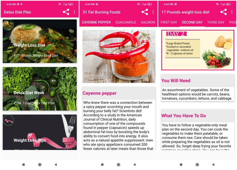 Plano de dieta de desintoxicação