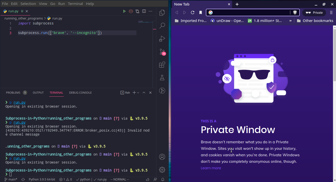 Drapeau de navigation privée