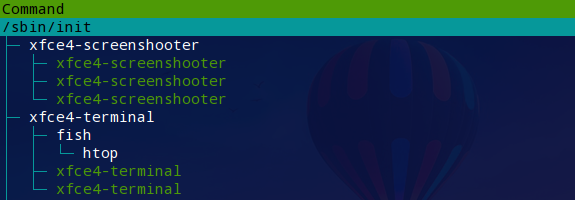 Structure de processus Htop
