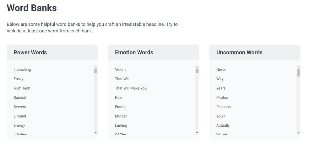 MonsterInsights 词库