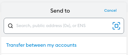 元掩码输入公共地址