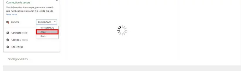 Give the plugin camera and audio access