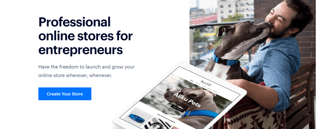 电子商务网站建设者