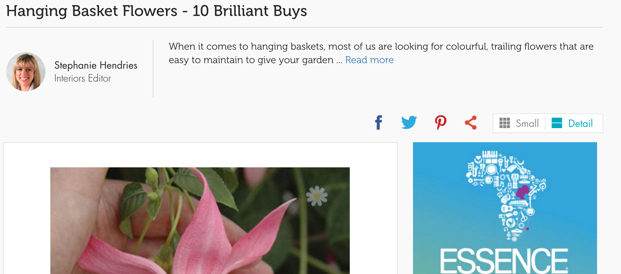 casa-para-casa-cestas-hallam