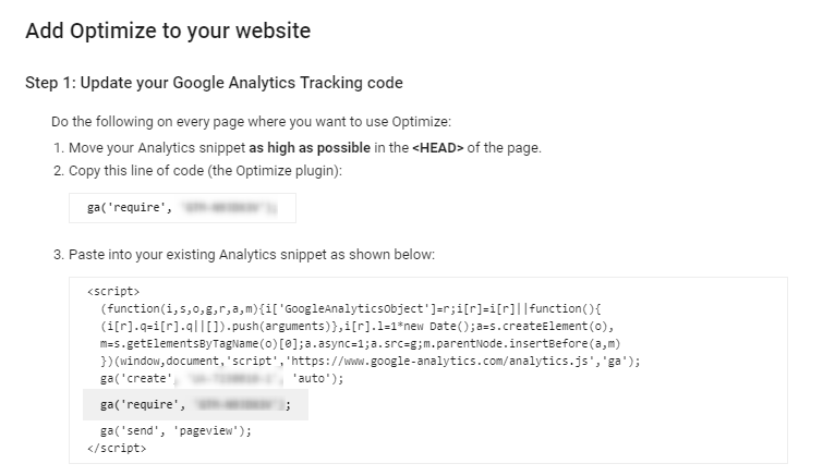 install-optimize-snippet