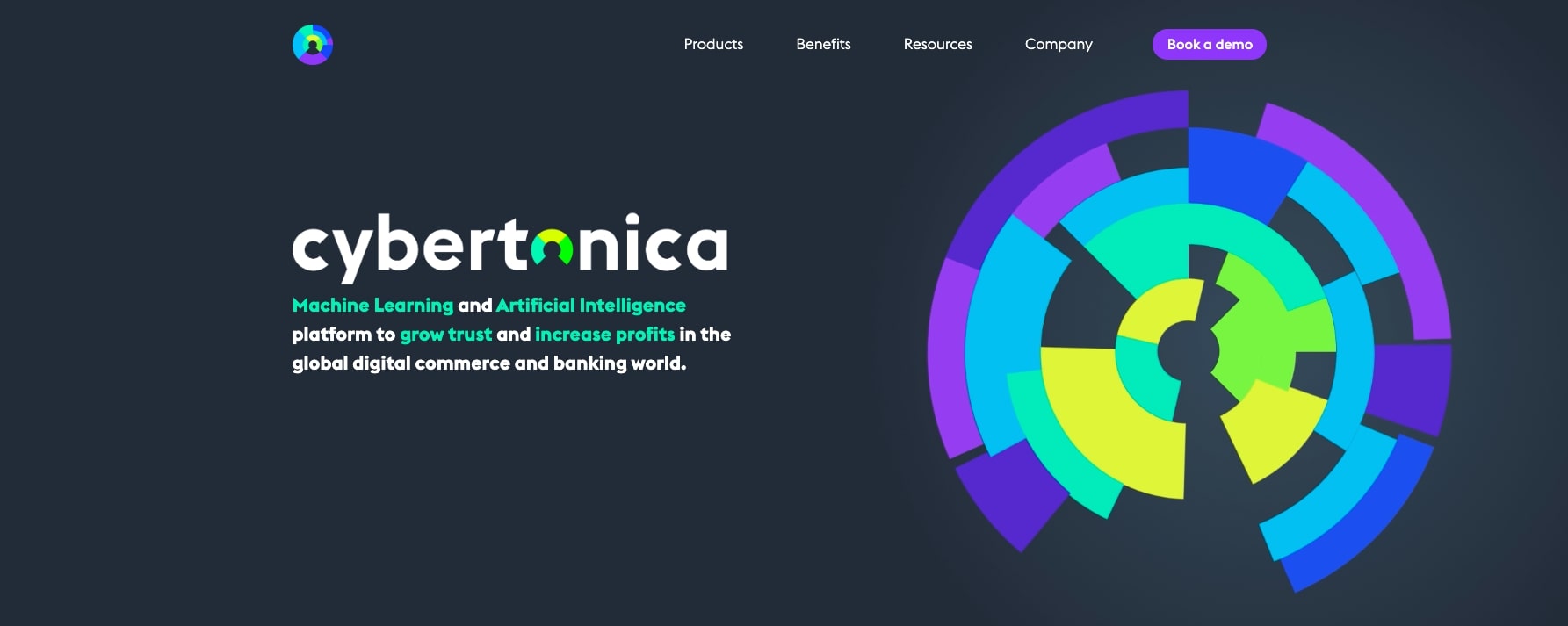 CybertonicaFinTechウェブサイトのホームページ