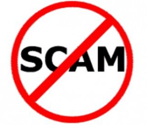 internet business directory scam