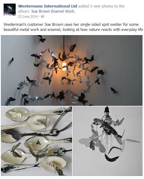 Westermans 소셜 리드 육성