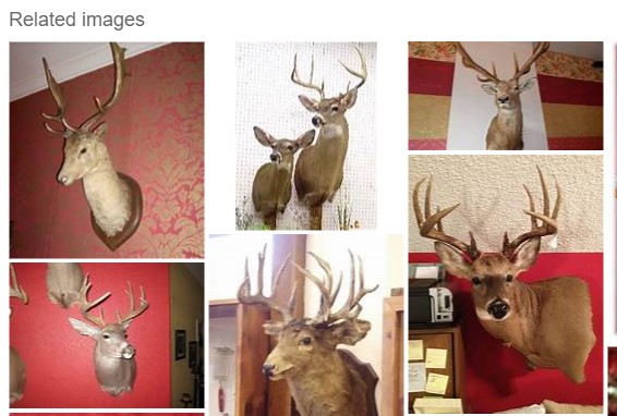 imagens relacionadas