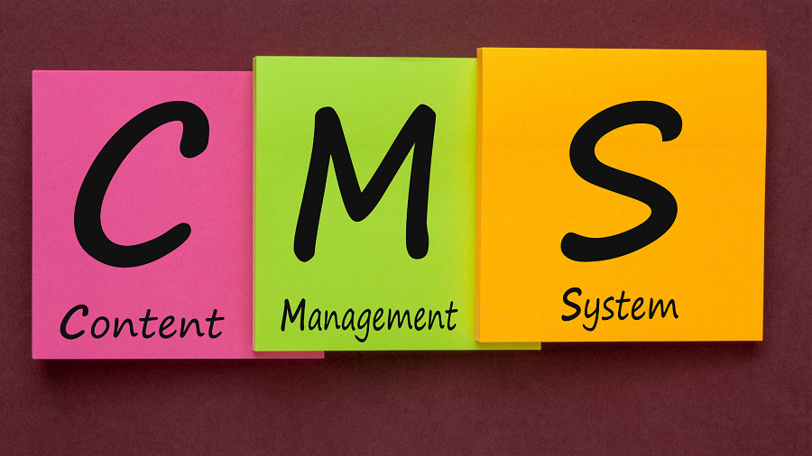 warum wordpress das beste cms ist