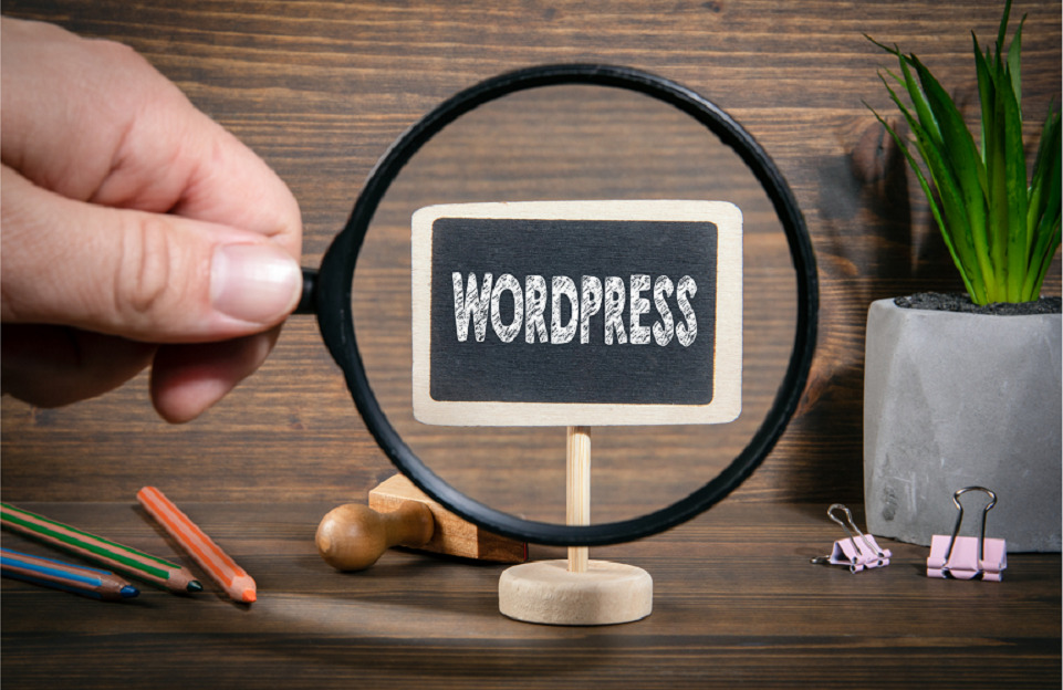 Grund, sich für WordPress CMS zu entscheiden