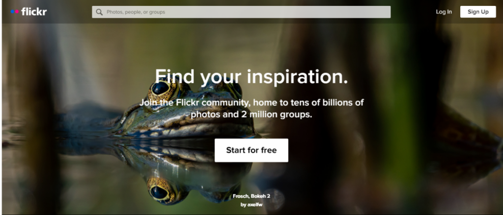 หน้าแรก Flickr.com
