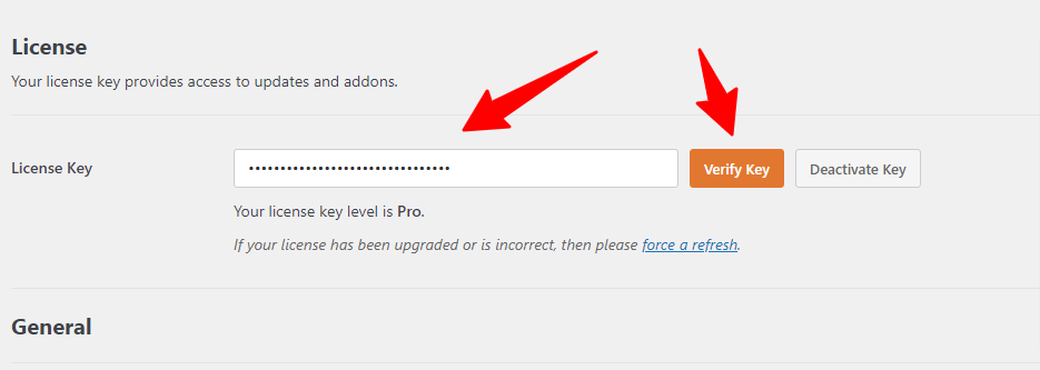 WPForms 许可证密钥字段