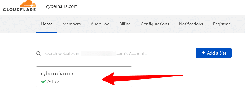 在 Cloudflare 中选择网站