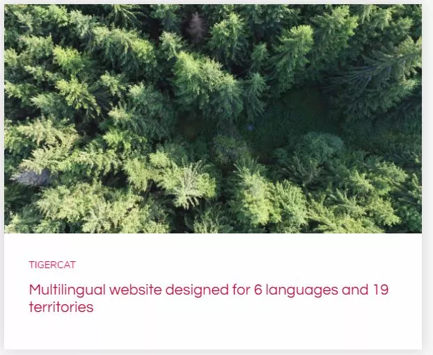 6 dilde ve 19 bölgede uluslararası web sitesi