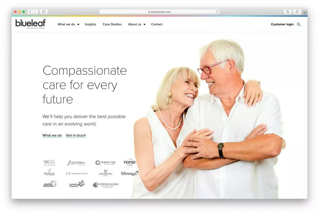 Exemple 1 : capture d'écran de la page d'accueil de blueleaf