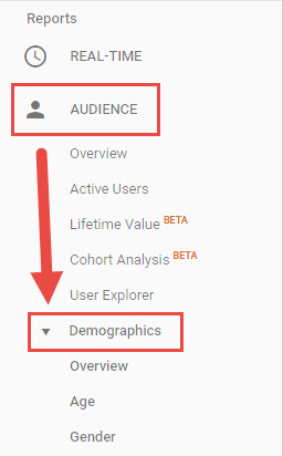 Dane demograficzne Google Analytics