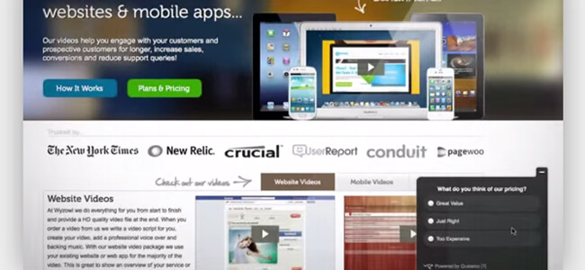 Mopinion: 28 narzędzi Voice of the Customer (VoC) - Qualaroo