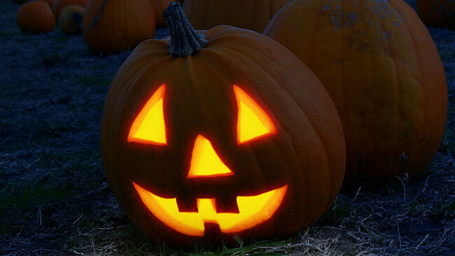 Mopinion: 3 moduri în care feedbackul online poate preveni o experiență înfricoșătoare a clienților - Dovleac