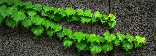 Mopinion: أفضل 10 منشورات مدونة لـ Mopinion لعام 2017 - قرصنة النمو للشركات الناشئة