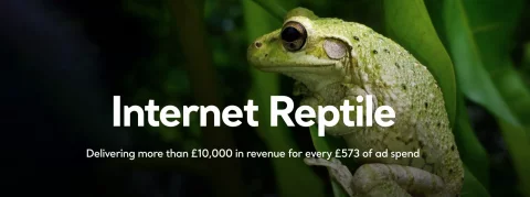 حالة الزواحف الإنترنت. رأس الدراسة