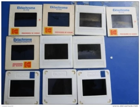 Lucidi per comunicati stampa