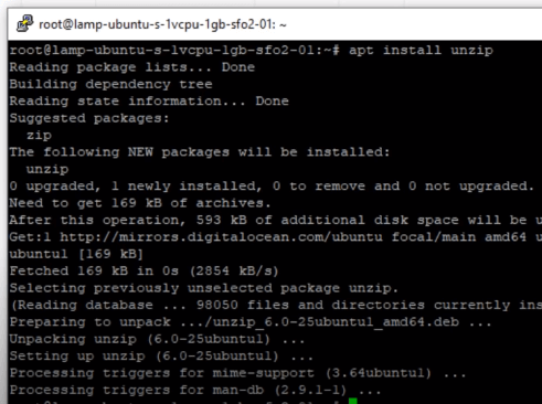 installa decomprimi sull'app putty