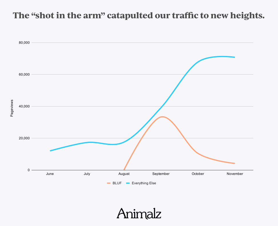 shot-in-the-arm (1).jpg