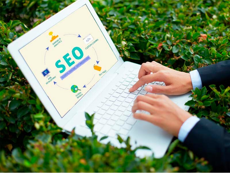 Serviciu SEO India
