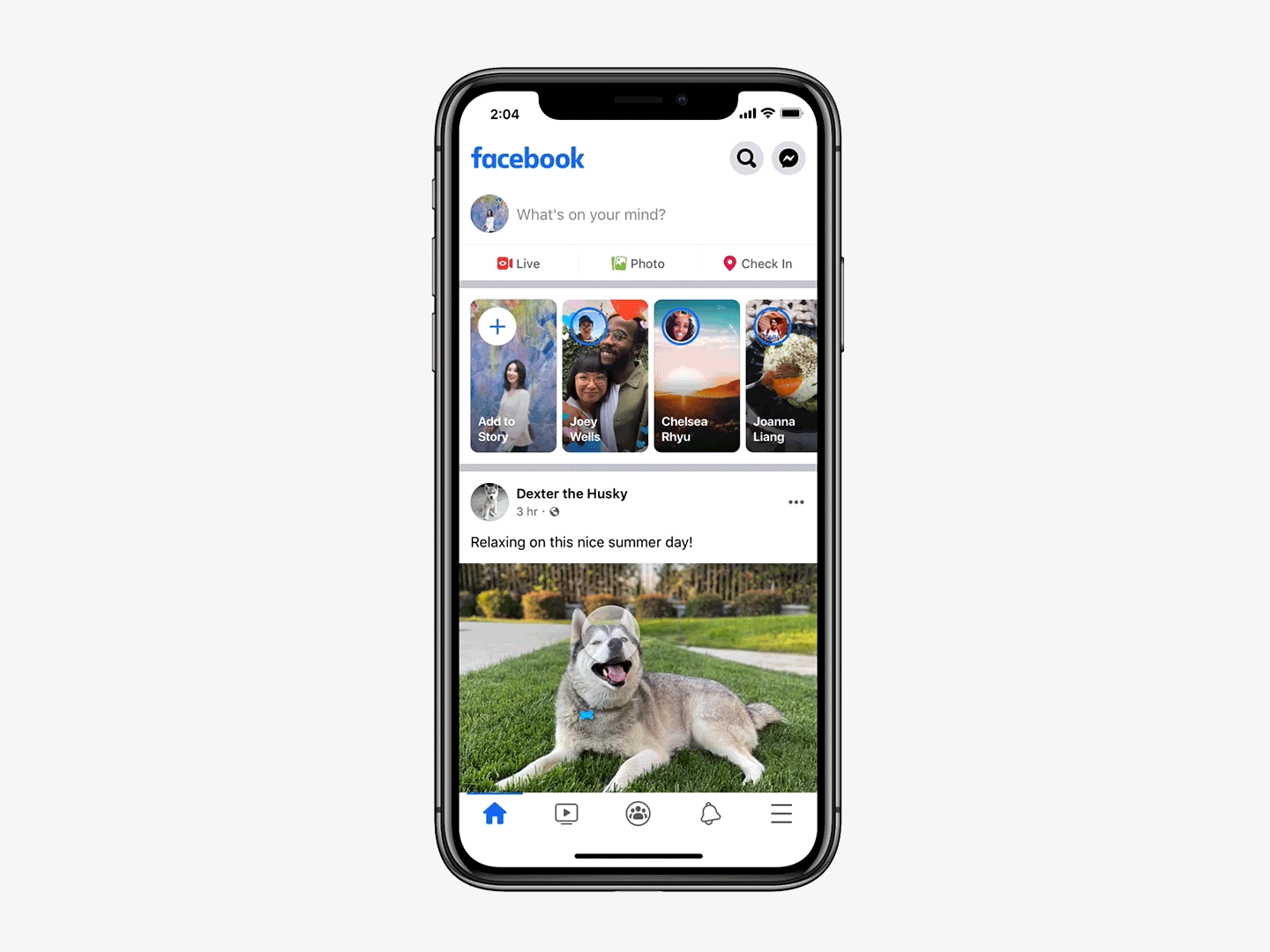 Opções de feed do Facebook