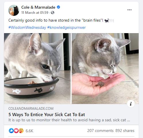 コールとマーマレード Cole and Marmalade