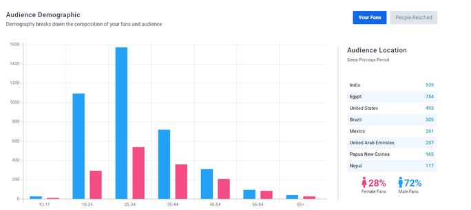 SocialPilot-Audience-Demographic-Feature