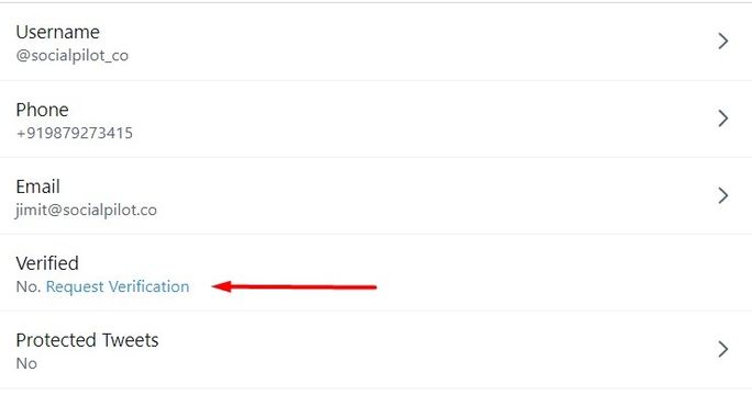 ステップ-2-Twitterr-検証