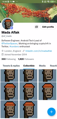 Opções de exibição NFT do Twitter