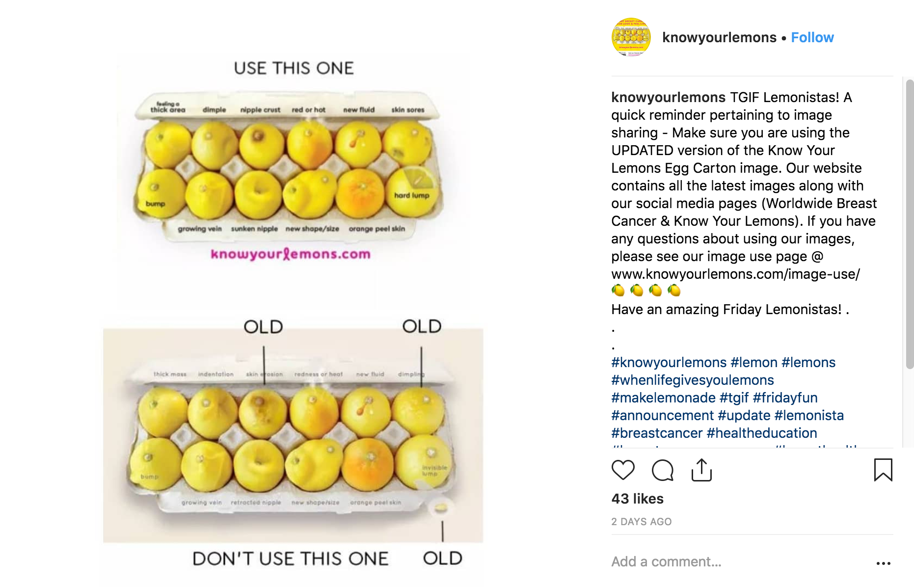 Cele mai bune campanii Instagram 2018 - Know Your Lemons - Sked Social