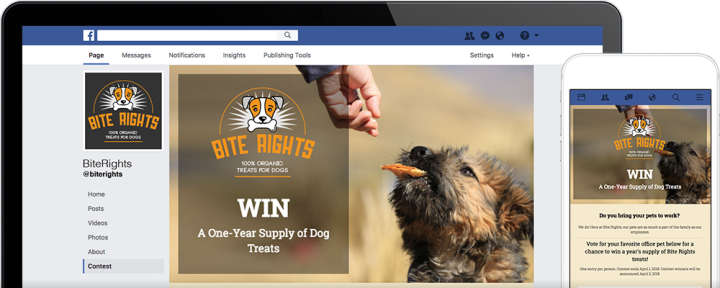 короткие викторины Facebook