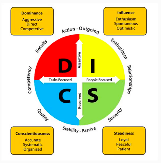 Padronanza della gestione di Mads Singers -Modulo 1 - DiSC -Comprendere il comportamento umano e come utilizzarlo