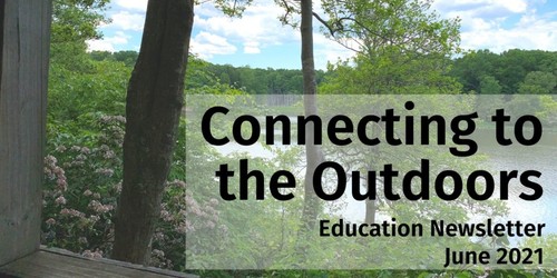 Boletín Educación Junio ​​2016