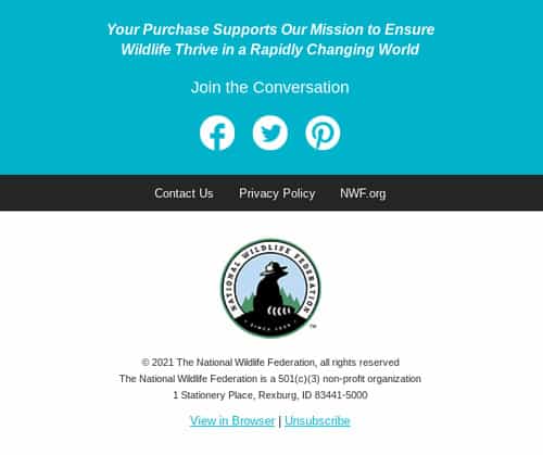 精心设计的电子邮件签名页脚示例